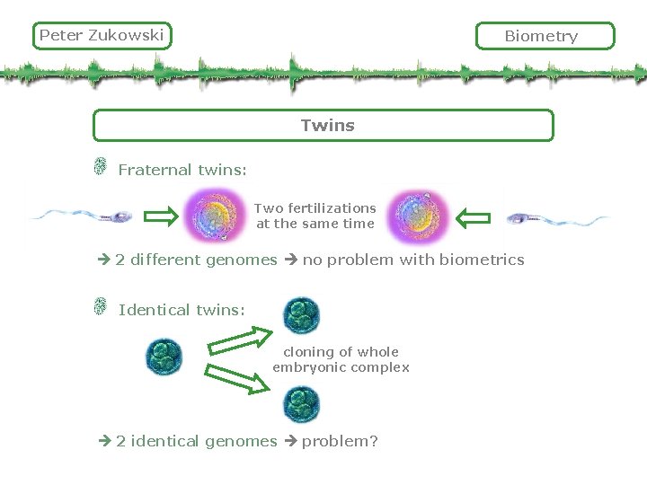 Peter Zukowski Biometry Twins Fraternal twins: Two fertilizations at the same time 2 different
