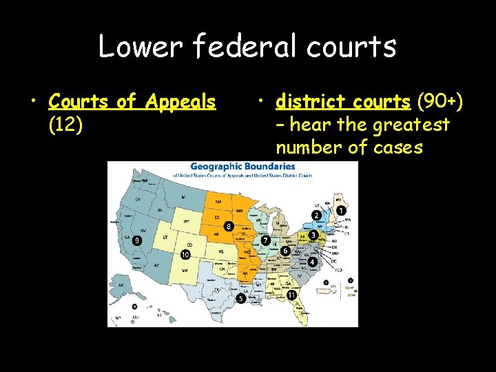 Lower federal courts • Courts of Appeals (12) • district courts (90+) – hear