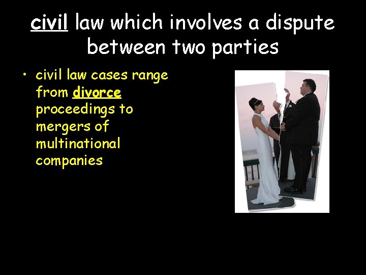 civil law which involves a dispute between two parties • civil law cases range