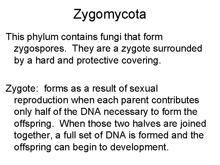 Zygomycota This phylum contains fungi that form zygospores. They are a zygote surrounded by