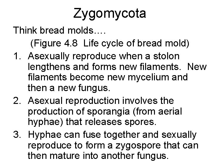 Zygomycota Think bread molds…. (Figure 4. 8 Life cycle of bread mold) 1. Asexually