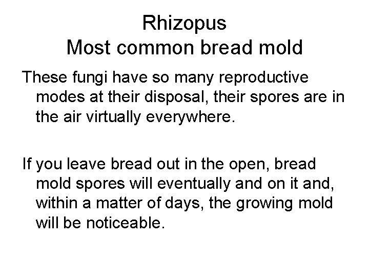 Rhizopus Most common bread mold These fungi have so many reproductive modes at their