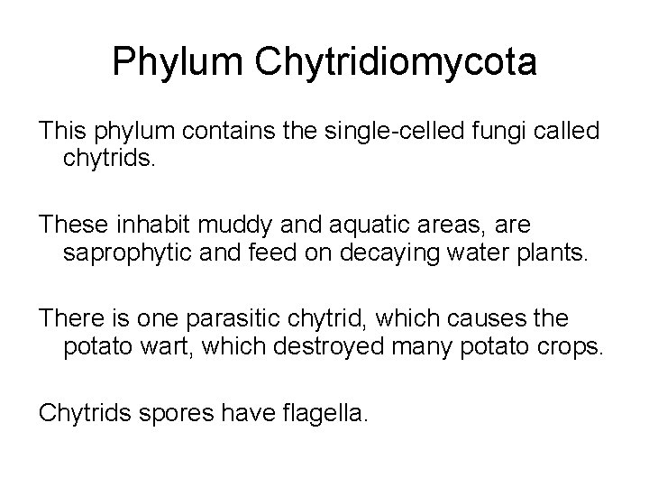 Phylum Chytridiomycota This phylum contains the single-celled fungi called chytrids. These inhabit muddy and