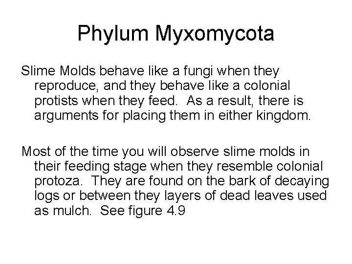 Phylum Myxomycota Slime Molds behave like a fungi when they reproduce, and they behave