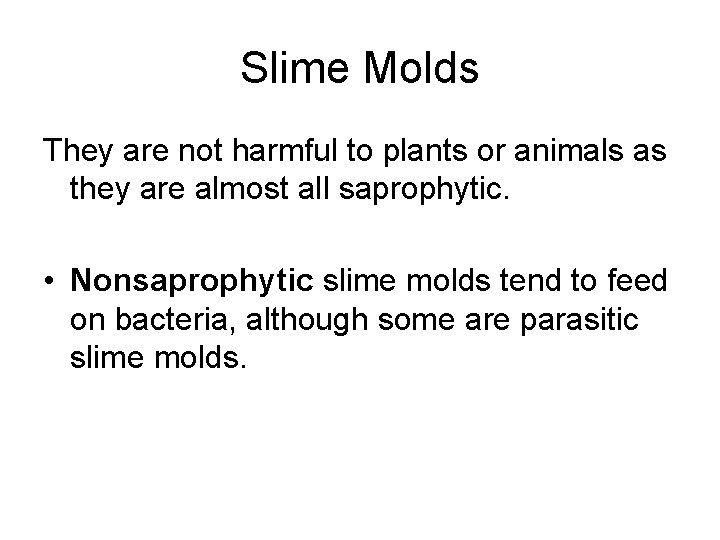 Slime Molds They are not harmful to plants or animals as they are almost