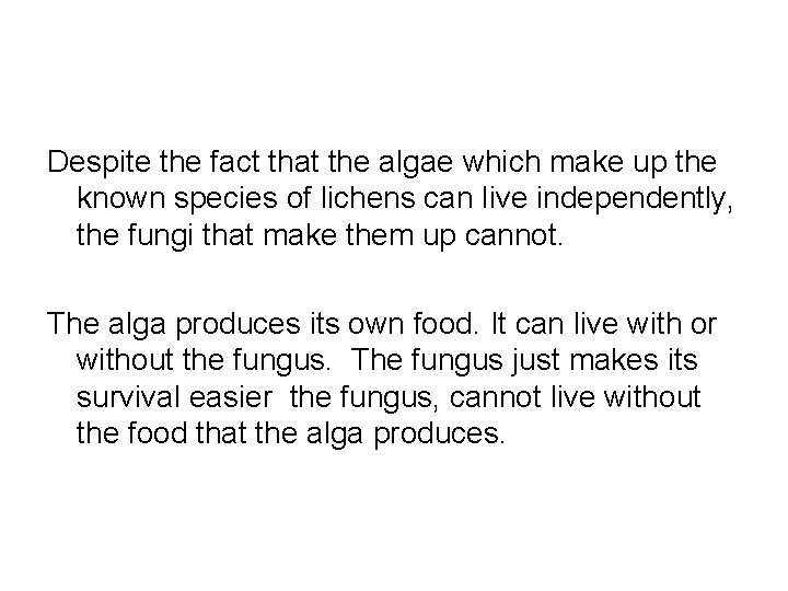 Despite the fact that the algae which make up the known species of lichens