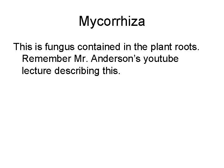 Mycorrhiza This is fungus contained in the plant roots. Remember Mr. Anderson’s youtube lecture