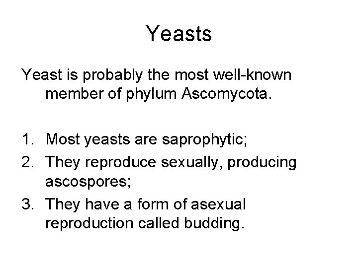 Yeasts Yeast is probably the most well-known member of phylum Ascomycota. 1. Most yeasts