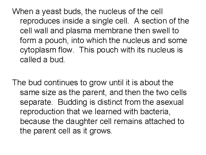 When a yeast buds, the nucleus of the cell reproduces inside a single cell.