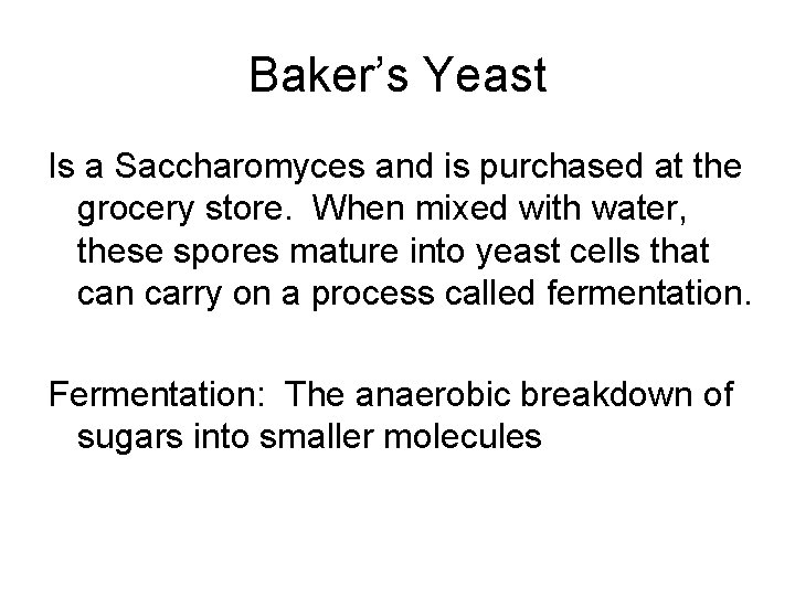 Baker’s Yeast Is a Saccharomyces and is purchased at the grocery store. When mixed