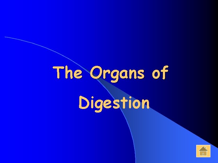 The Organs of Digestion 