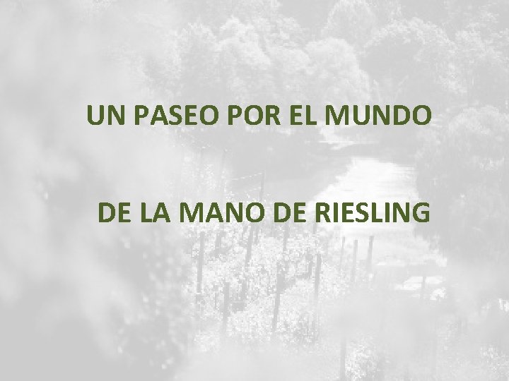 UN PASEO POR EL MUNDO DE LA MANO DE RIESLING 