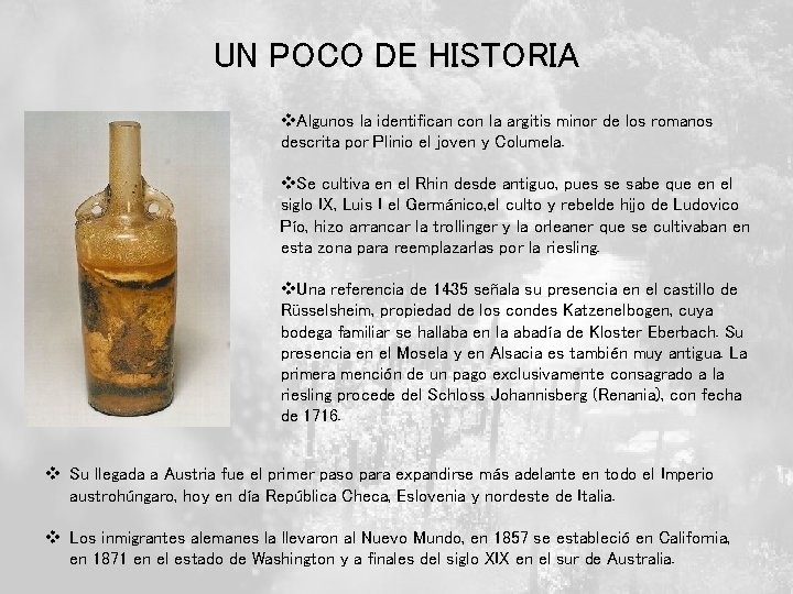 UN POCO DE HISTORIA v. Algunos la identifican con la argitis minor de los