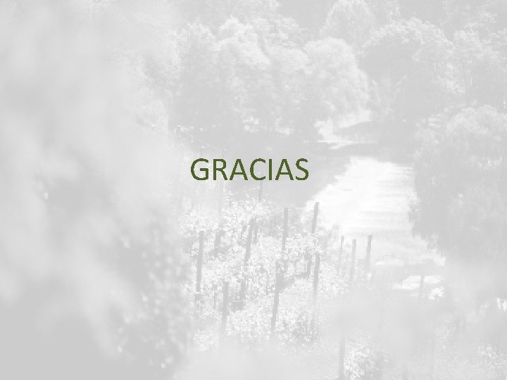 GRACIAS 