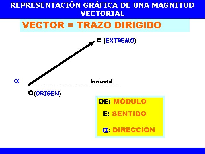 REPRESENTACIÓN GRÁFICA DE UNA MAGNITUD VECTORIAL VECTOR = TRAZO DIRIGIDO E (EXTREMO) horizontal O(ORIGEN)