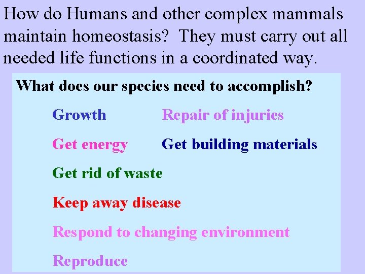 How do Humans and other complex mammals maintain homeostasis? They must carry out all