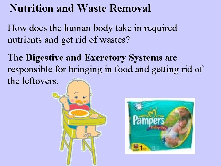 Nutrition and Waste Removal How does the human body take in required nutrients and