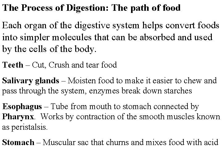 The Process of Digestion: The path of food Each organ of the digestive system