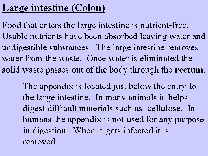 Large intestine (Colon) Food that enters the large intestine is nutrient-free. Usable nutrients have