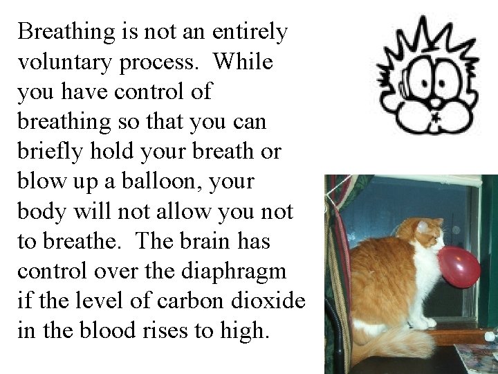 Breathing is not an entirely voluntary process. While you have control of breathing so