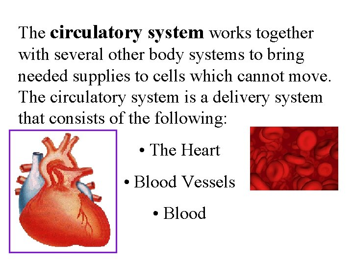 The circulatory system works together with several other body systems to bring needed supplies