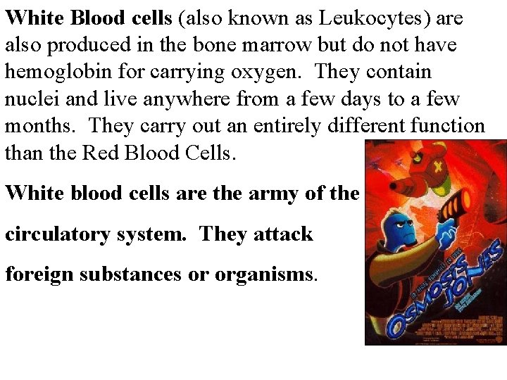 White Blood cells (also known as Leukocytes) are also produced in the bone marrow