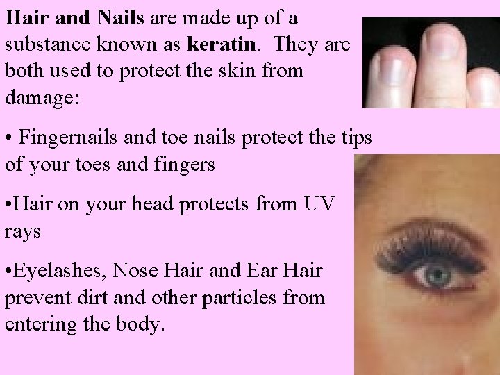 Hair and Nails are made up of a substance known as keratin. They are