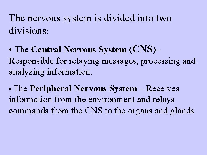 The nervous system is divided into two divisions: • The Central Nervous System (CNS)–