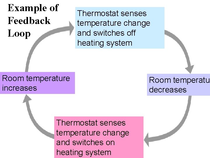 Example of Feedback Loop Section 35 -1 Thermostat senses temperature change and switches off