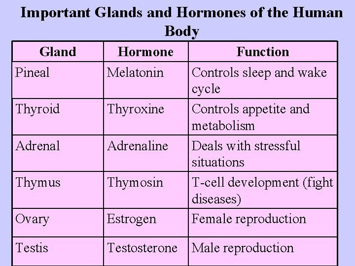 Important Glands and Hormones of the Human Body Gland Pineal Hormone Melatonin Thyroid Thyroxine