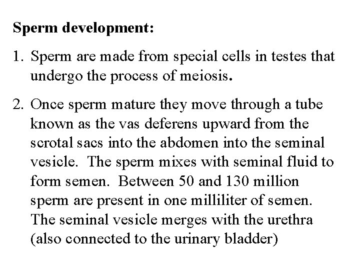 Sperm development: 1. Sperm are made from special cells in testes that undergo the