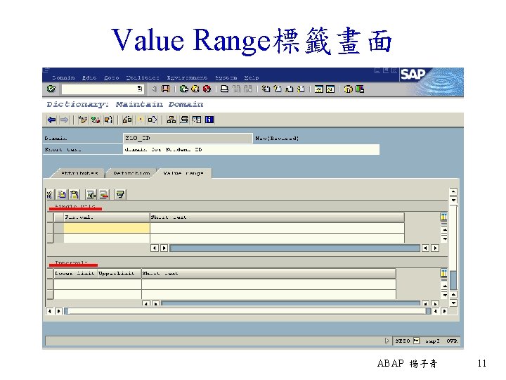 Value Range標籤畫面 ABAP 楊子青 11 