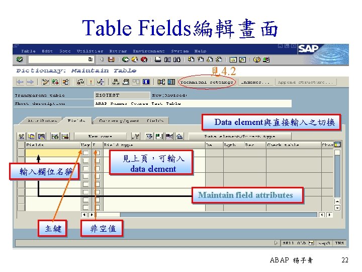 Table Fields編輯畫面 見4. 2 Data element與直接輸入之切換 見上頁，可輸入 data element 輸入欄位名稱 Maintain field attributes 主鍵