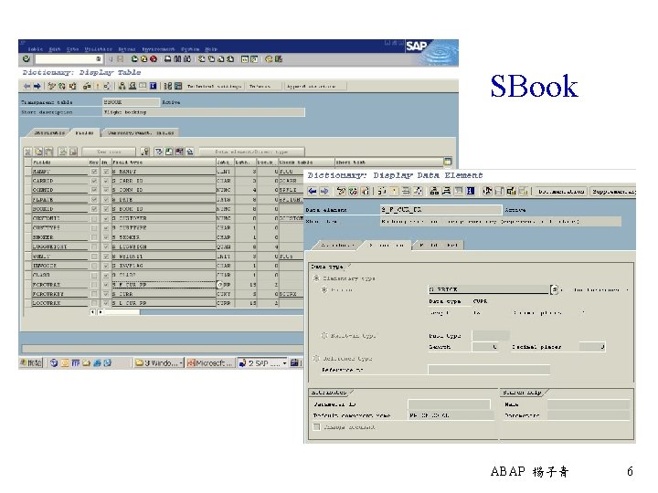 SBook ABAP 楊子青 6 