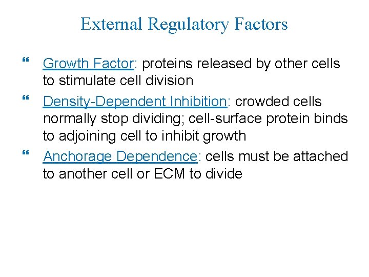 External Regulatory Factors Growth Factor: proteins released by other cells to stimulate cell division
