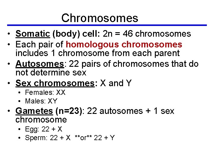 Chromosomes • Somatic (body) cell: 2 n = 46 chromosomes • Each pair of