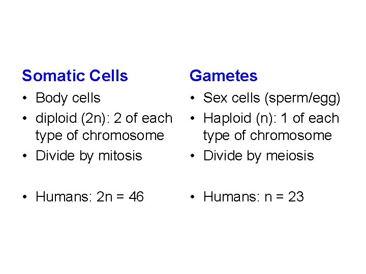 Somatic Cells Gametes • Body cells • diploid (2 n): 2 of each type