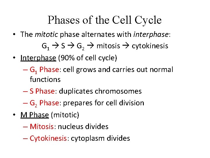 Phases of the Cell Cycle • The mitotic phase alternates with interphase: G 1