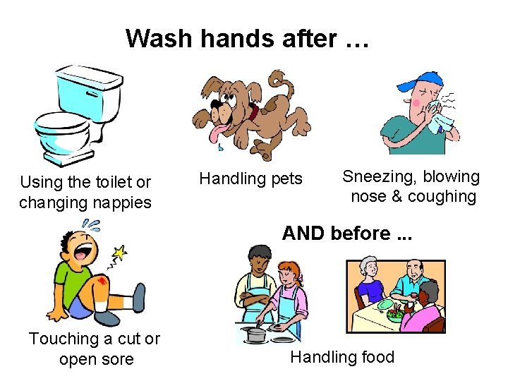 Wash hands after … Using the toilet or changing nappies Handling pets Sneezing, blowing