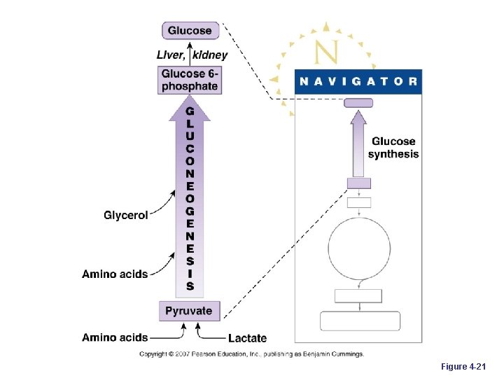 Figure 4 -21 