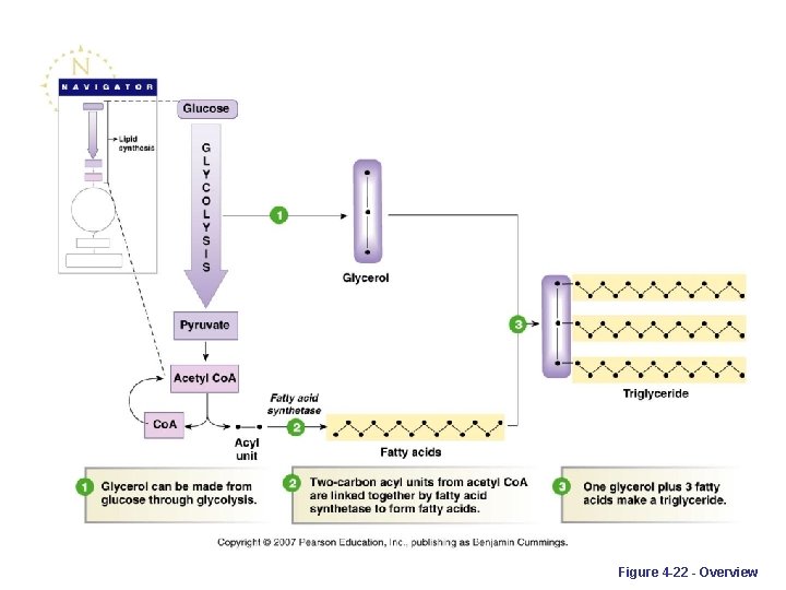 Figure 4 -22 - Overview 