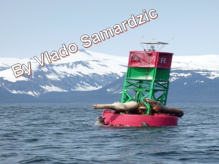 y B o d a l V c i z d r a m