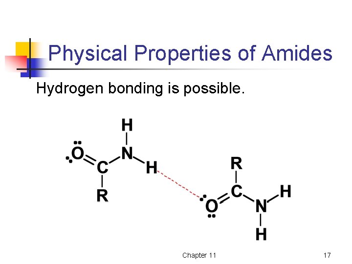 Physical Properties of Amides Hydrogen bonding is possible. Chapter 11 17 