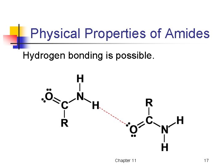Physical Properties of Amides Hydrogen bonding is possible. Chapter 11 17 Physical Properties of Amides Hydrogen bonding is possible. Chapter 11 17
