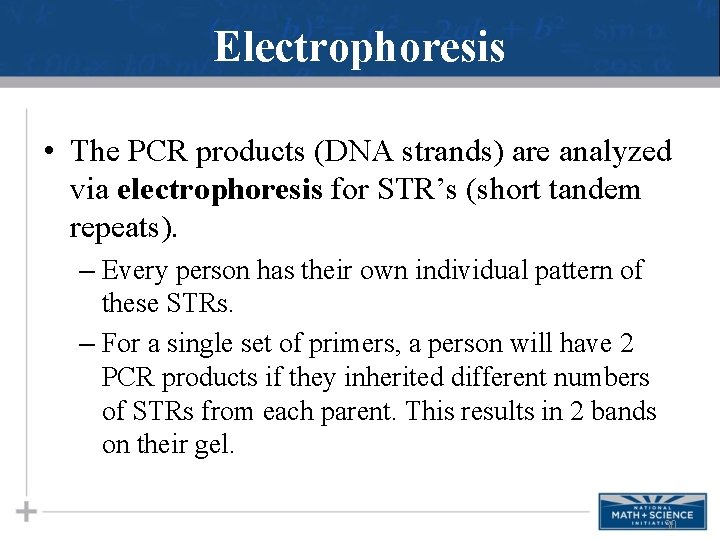 Electrophoresis • The PCR products (DNA strands) are analyzed via electrophoresis for STR’s (short