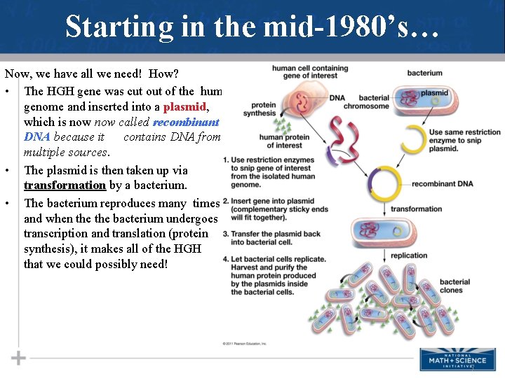 Starting in the mid-1980’s… Now, we have all we need! How? • The HGH