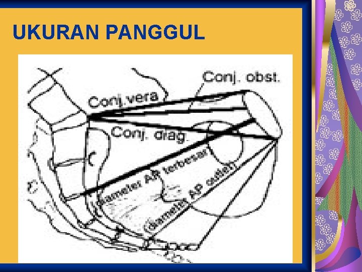 UKURAN PANGGUL 