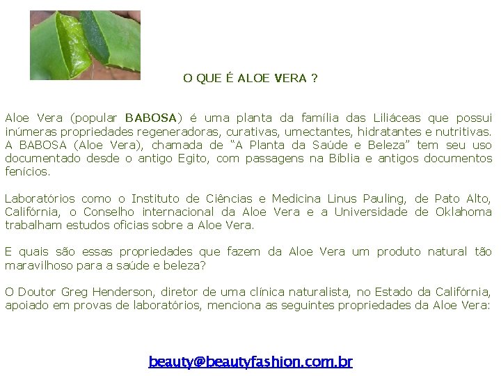 O QUE É ALOE VERA ? Aloe Vera (popular BABOSA) é uma planta da