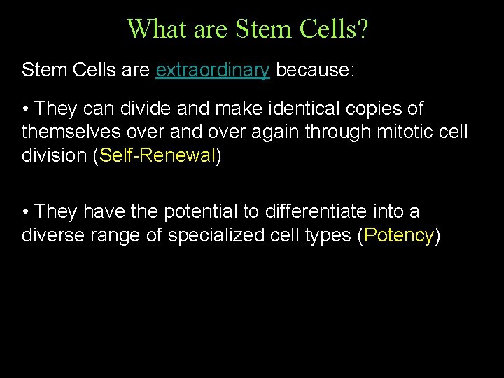 What are Stem Cells? Stem Cells are extraordinary because: • They can divide and