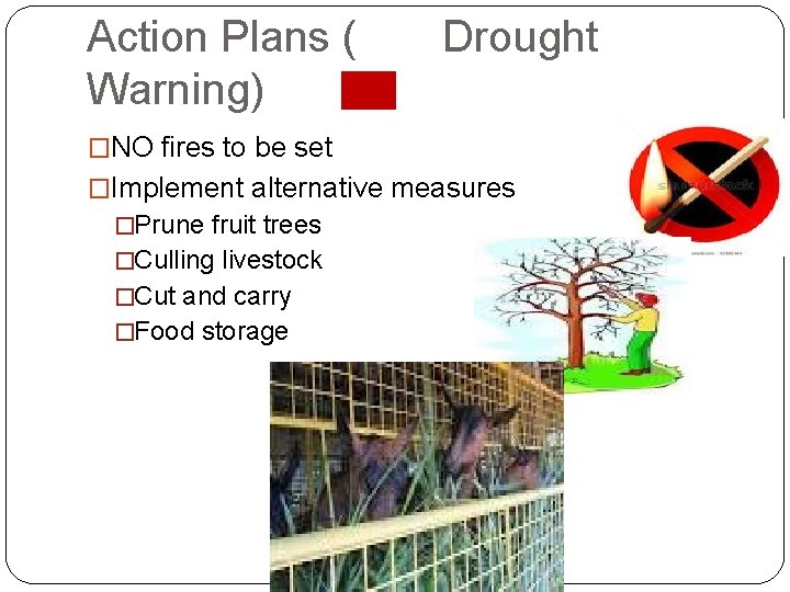 Action Plans ( Warning) Drought �NO fires to be set �Implement alternative measures �Prune